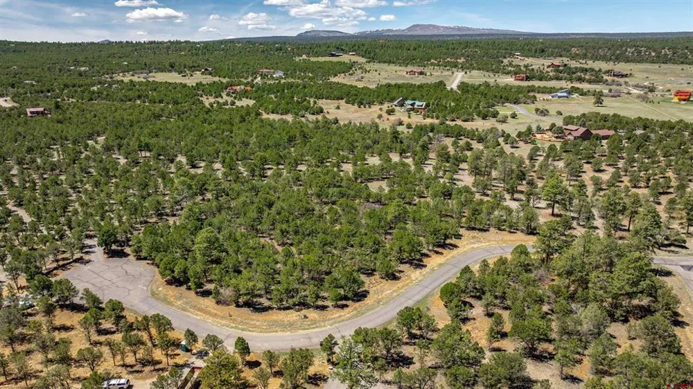 6 Waterview Court Ridgway, CO 81432