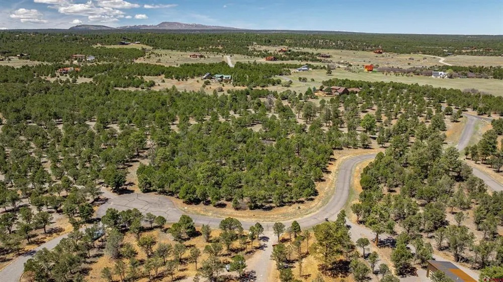 6 Waterview Court Ridgway, CO 81432