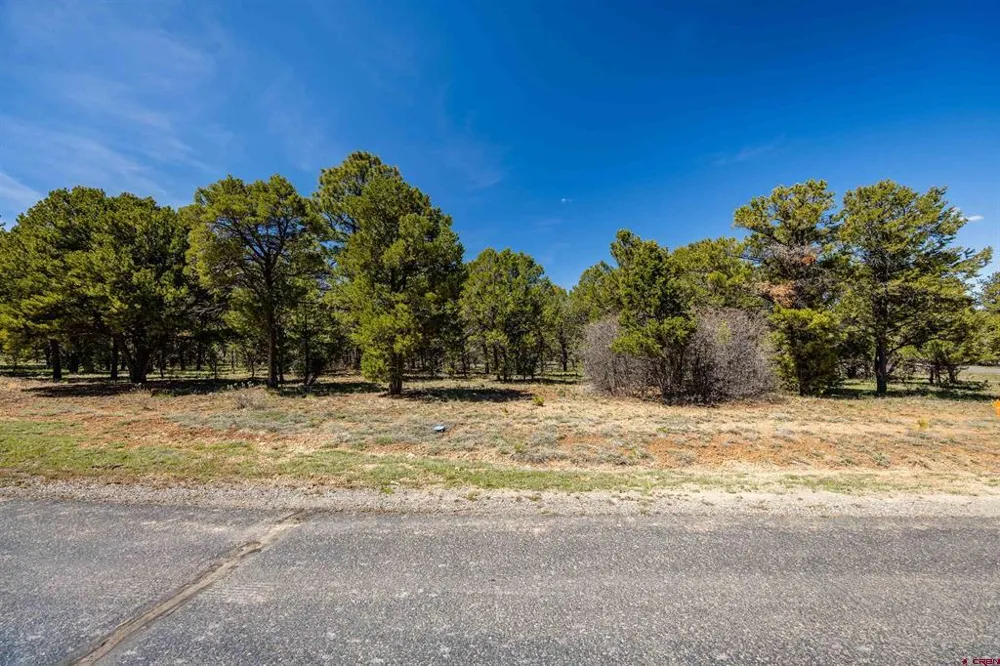6 Waterview Court Ridgway, CO 81432