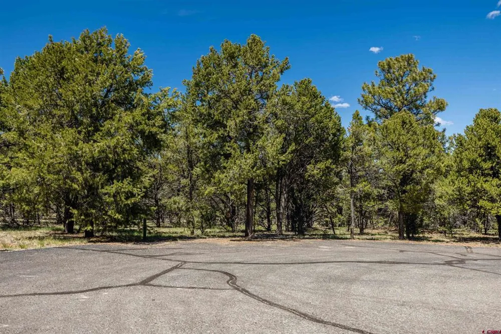 6 Waterview Court Ridgway, CO 81432