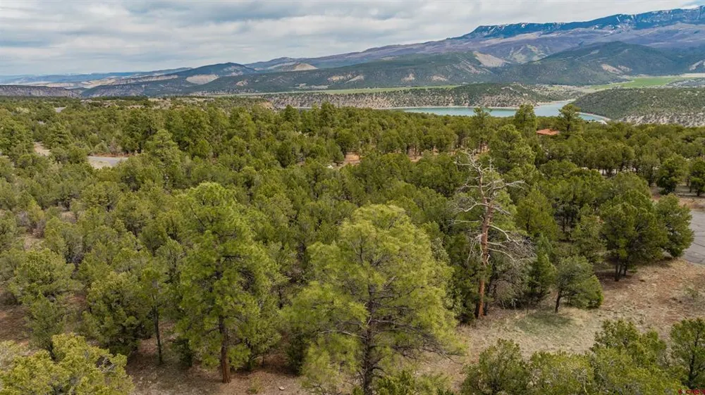 6 Waterview Court Ridgway, CO 81432