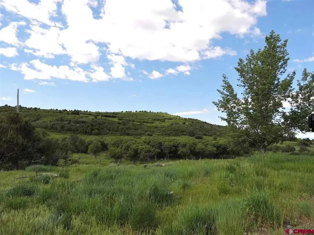 18880 3100 ROAD Hotchkiss, CO 81419