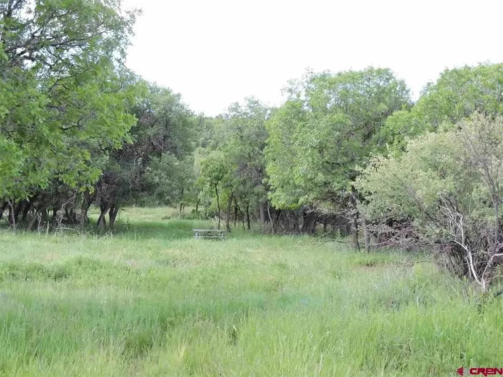 18880 3100 ROAD Hotchkiss, CO 81419