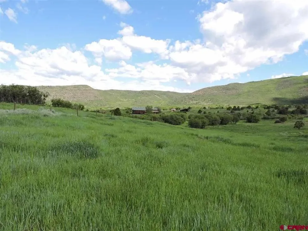18880 3100 ROAD Hotchkiss, CO 81419