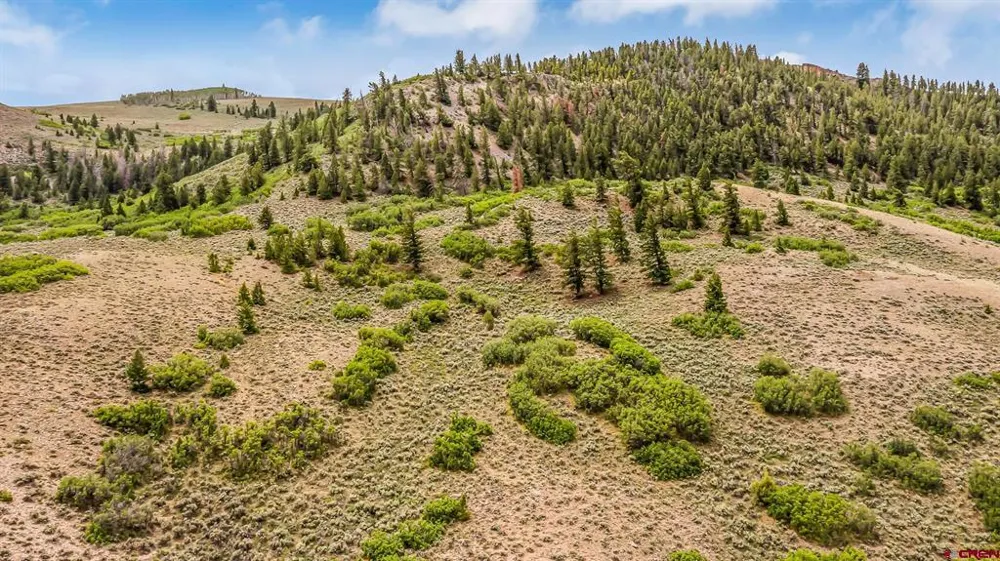 134 HWY 50 Gunnison, CO 81230