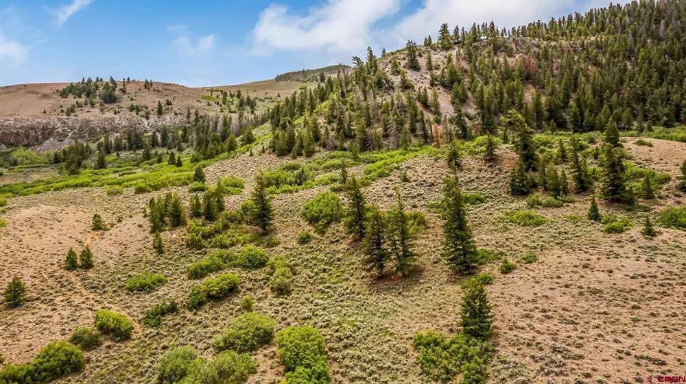 134 HWY 50 Gunnison, CO 81230