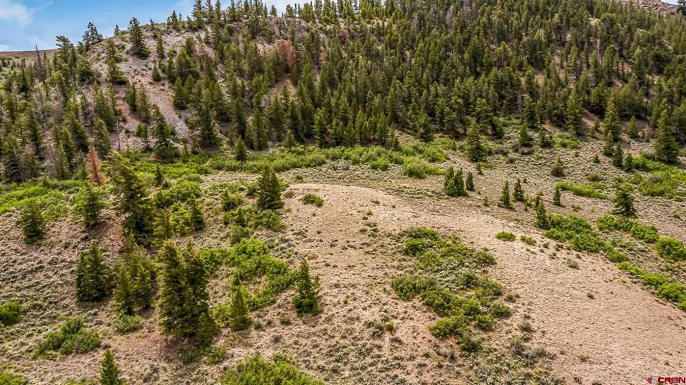 134 HWY 50 Gunnison, CO 81230
