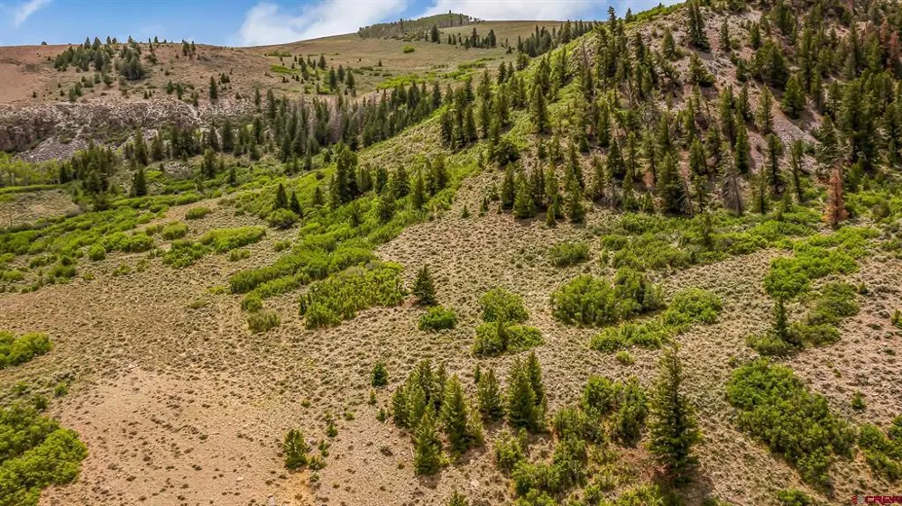 134 HWY 50 Gunnison, CO 81230