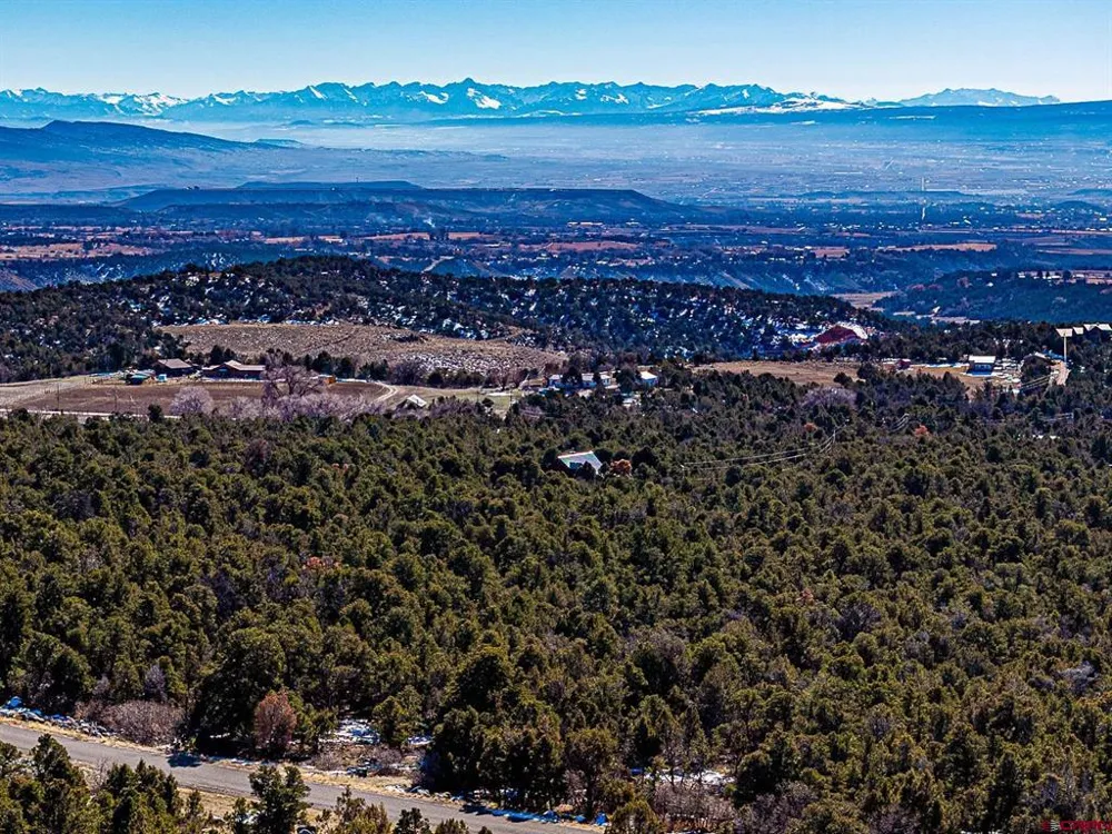 7 Wild Turkey Lane Cedaredge, CO 81413