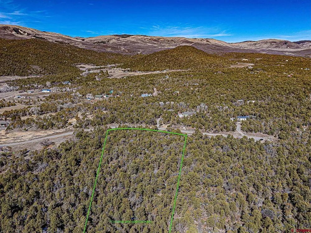 7 Wild Turkey Lane Cedaredge, CO 81413