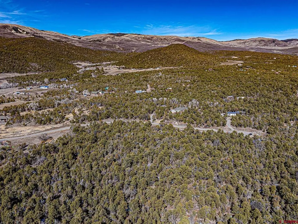 7 Wild Turkey Lane Cedaredge, CO 81413