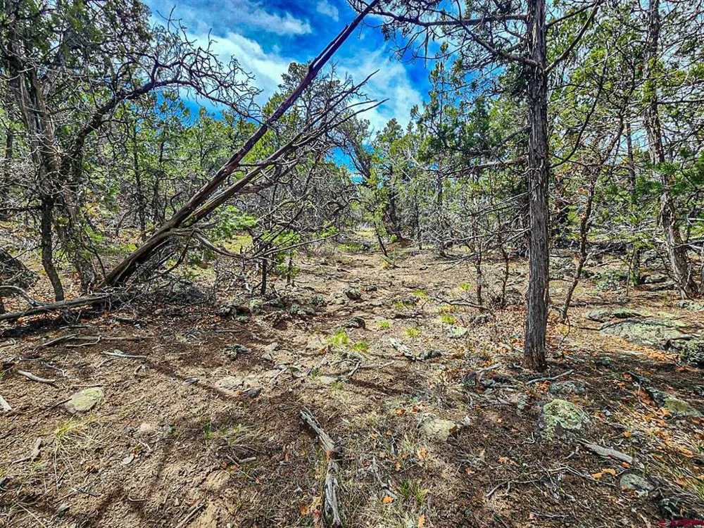 7 Wild Turkey Lane Cedaredge, CO 81413