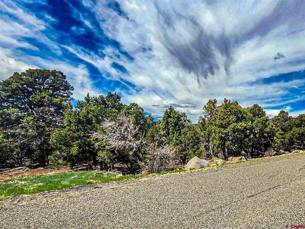 7 Wild Turkey Lane Cedaredge, CO 81413