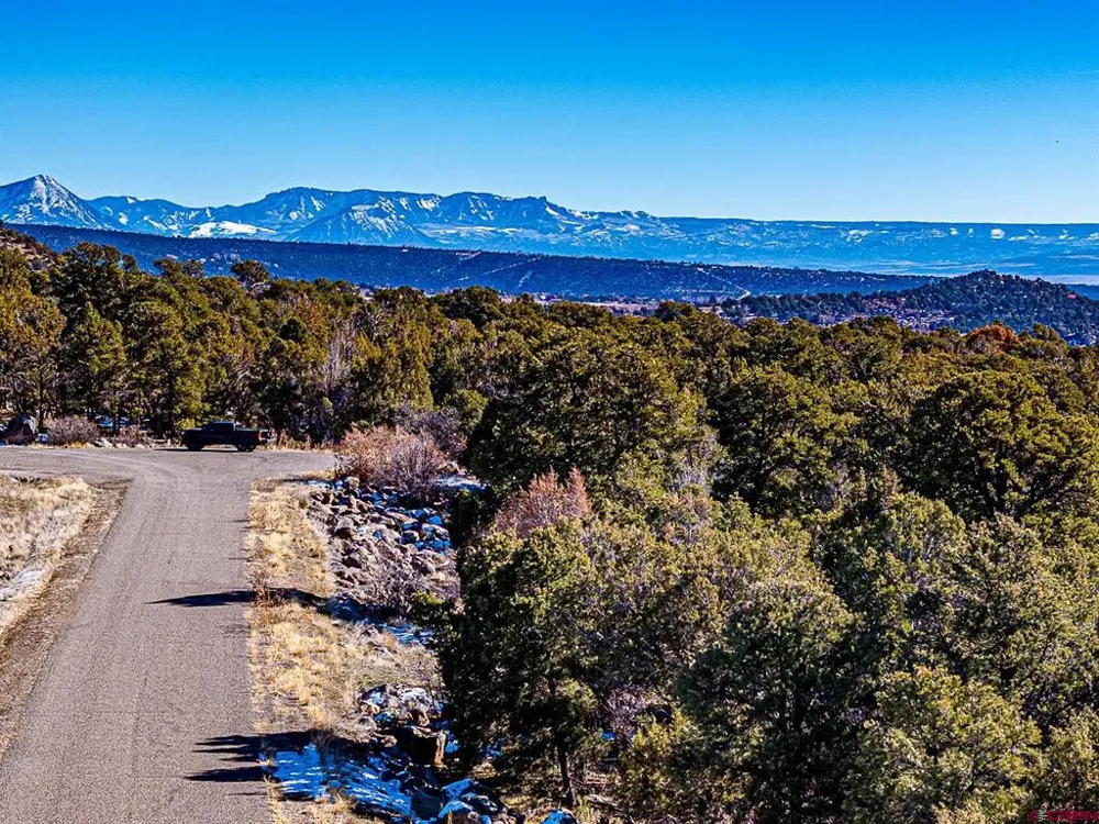 7 Wild Turkey Lane Cedaredge, CO 81413