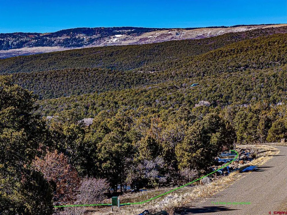 7 Wild Turkey Lane Cedaredge, CO 81413