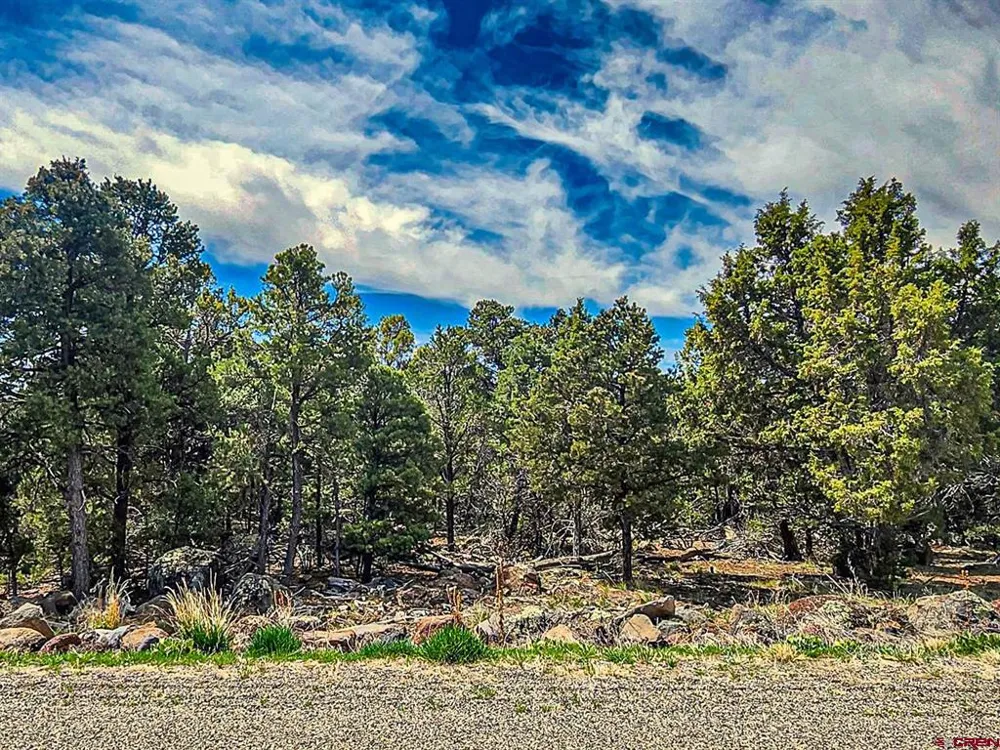 7 Wild Turkey Lane Cedaredge, CO 81413