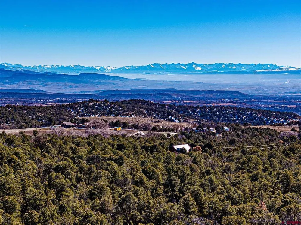 7 Wild Turkey Lane Cedaredge, CO 81413