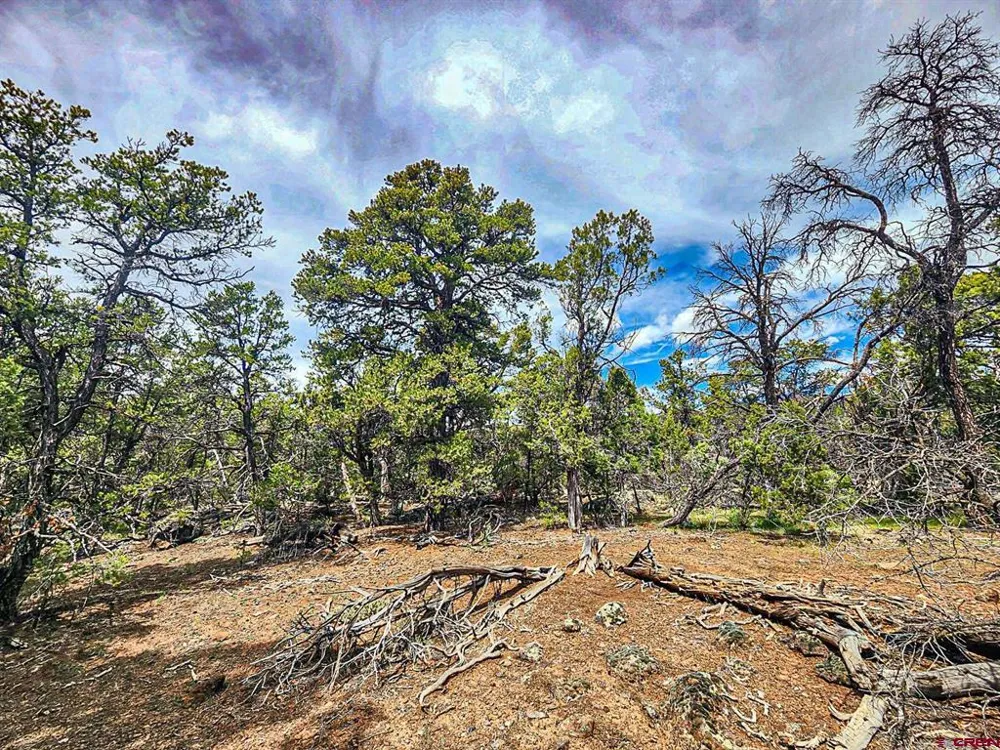 7 Wild Turkey Lane Cedaredge, CO 81413