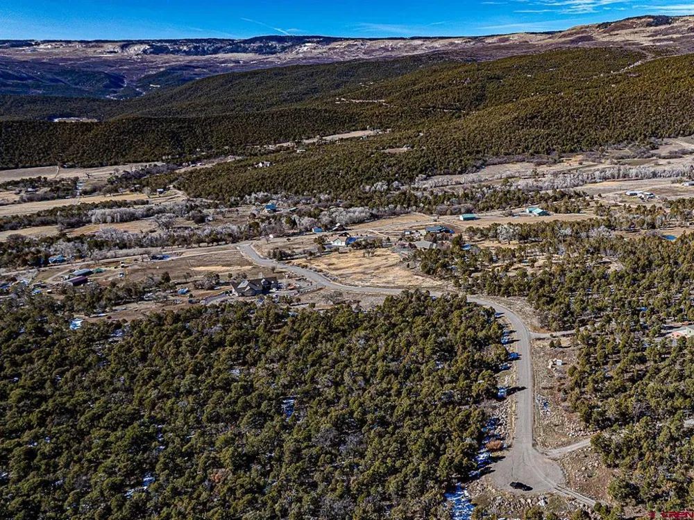7 Wild Turkey Lane Cedaredge, CO 81413