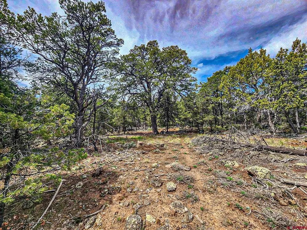 7 Wild Turkey Lane Cedaredge, CO 81413