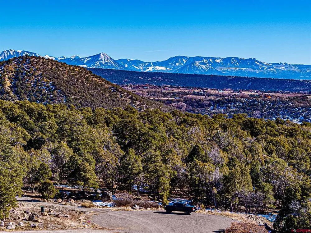 7 Wild Turkey Lane Cedaredge, CO 81413