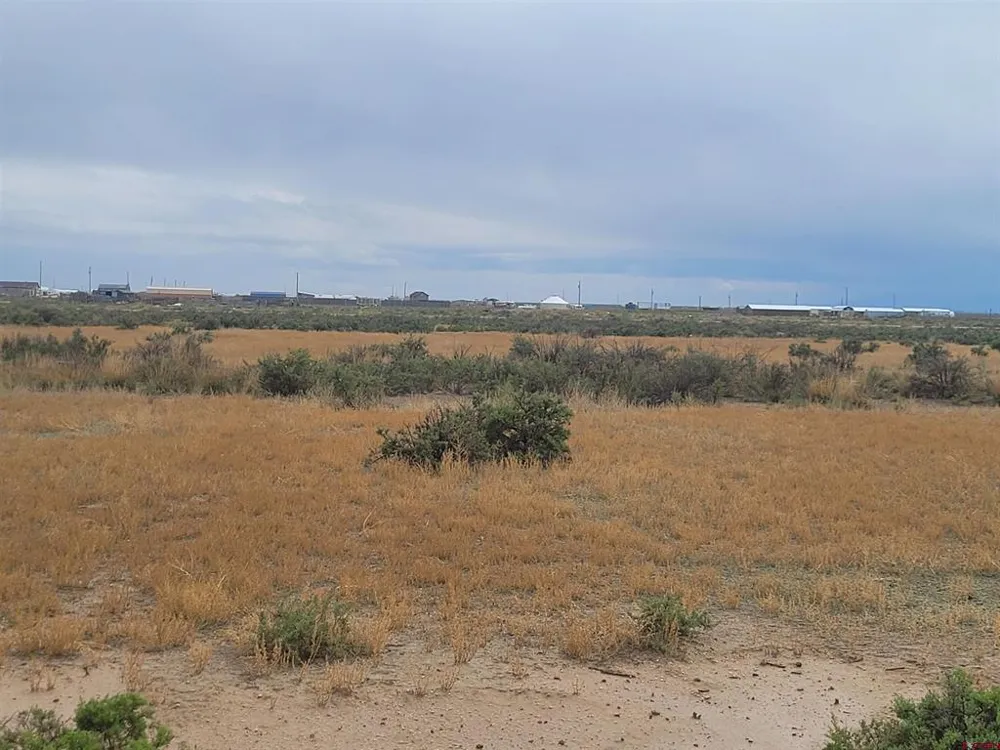 57840 Gloria B Drive Moffat, CO 81143