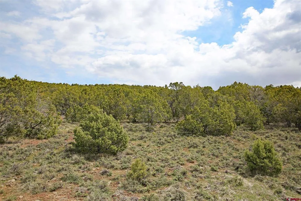 KK ROAD Molina, CO 81646