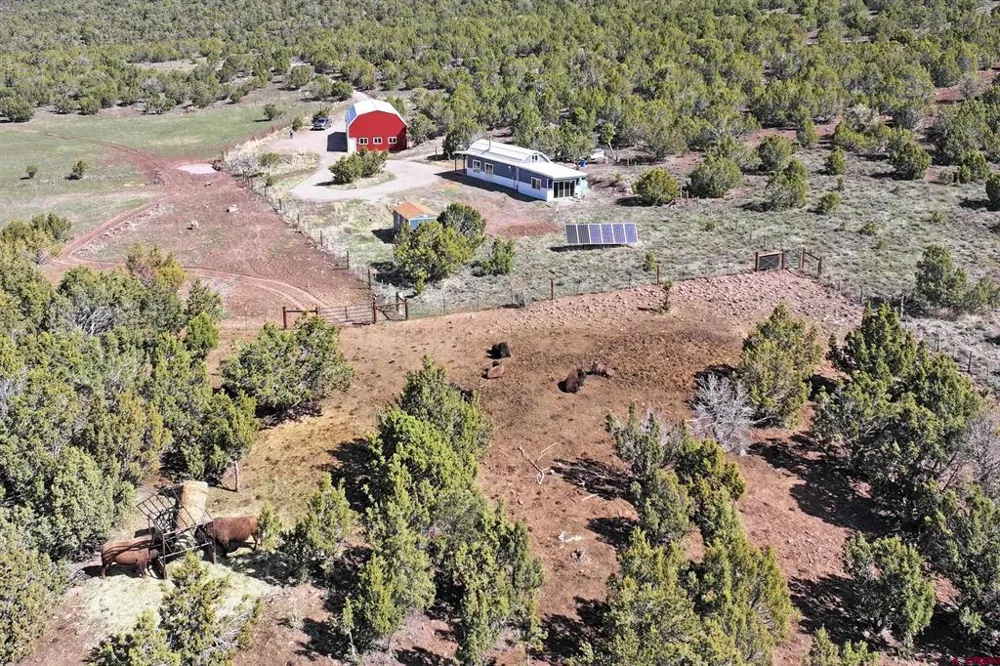 56001 KK ROAD Molina, CO 81646