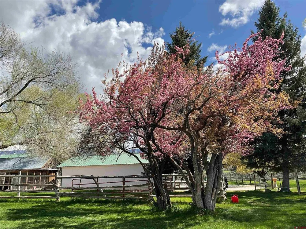 58590 PE 3/10 ROAD Collbran, CO 81624