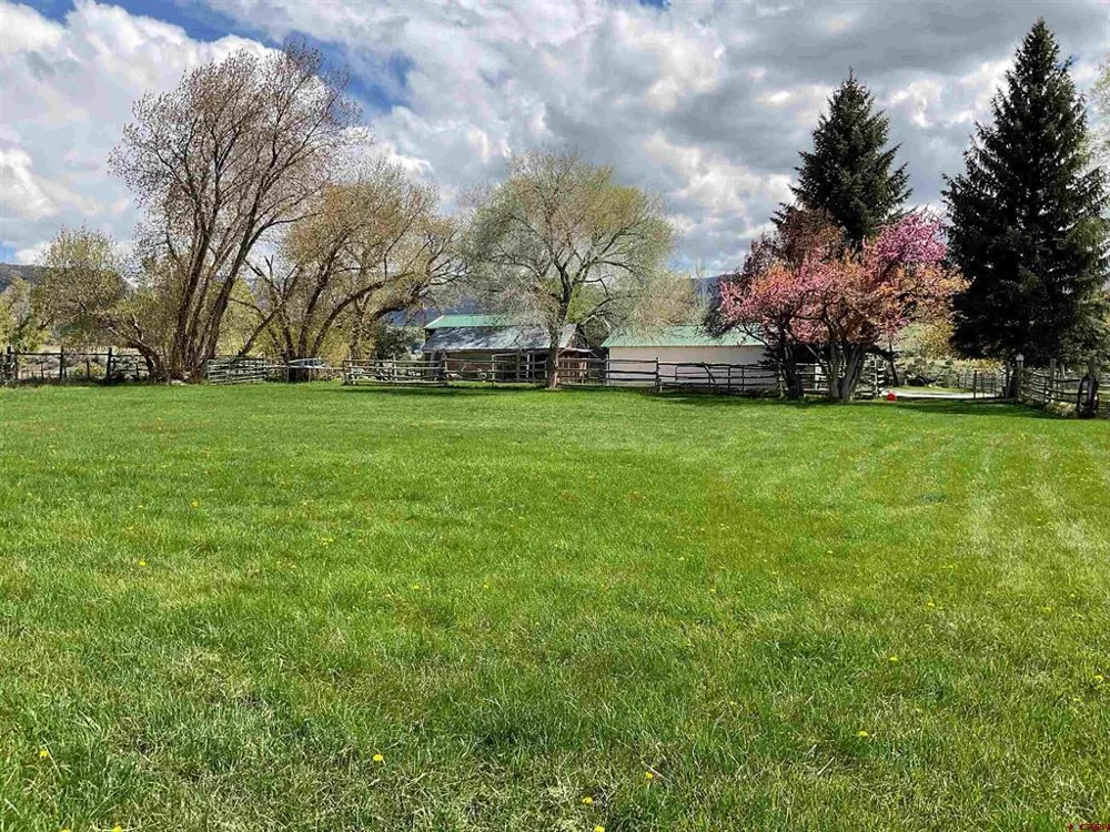58590 PE 3/10 ROAD Collbran, CO 81624