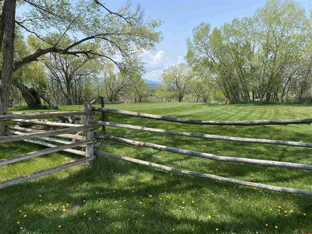 58590 PE 3/10 ROAD Collbran, CO 81624