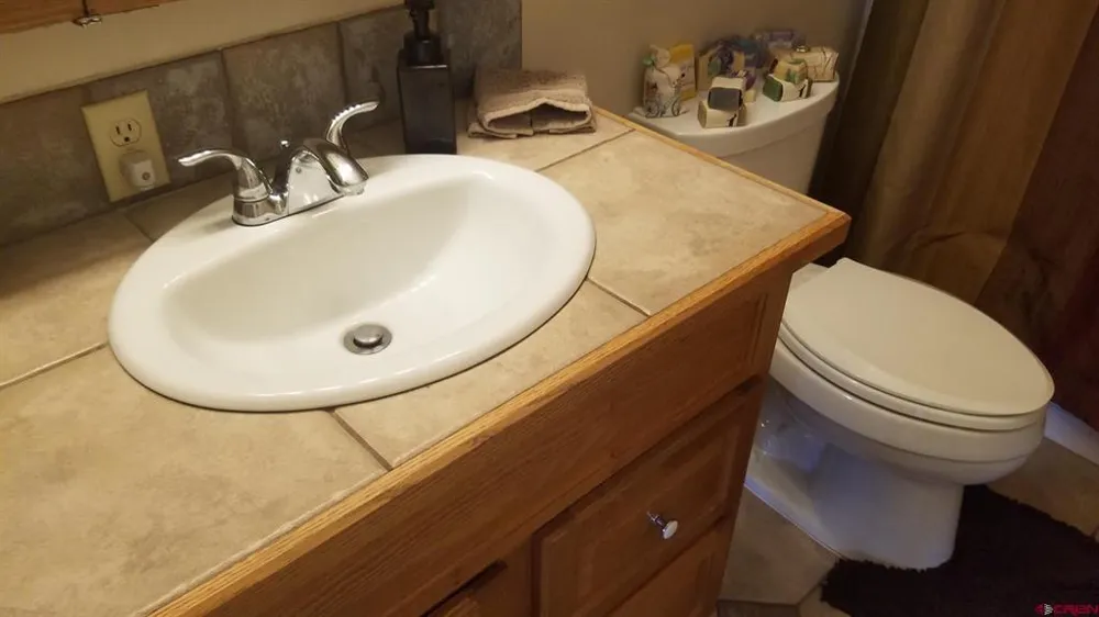 44 Whispering Pines Drive Ouray, CO 81427