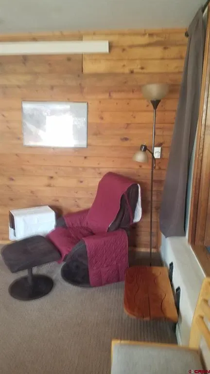 44 Whispering Pines Drive Ouray, CO 81427