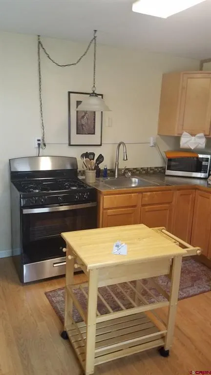 44 Whispering Pines Drive Ouray, CO 81427