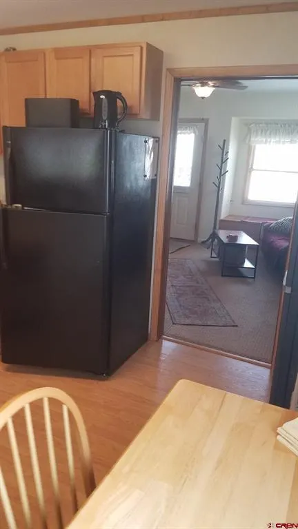 44 Whispering Pines Drive Ouray, CO 81427
