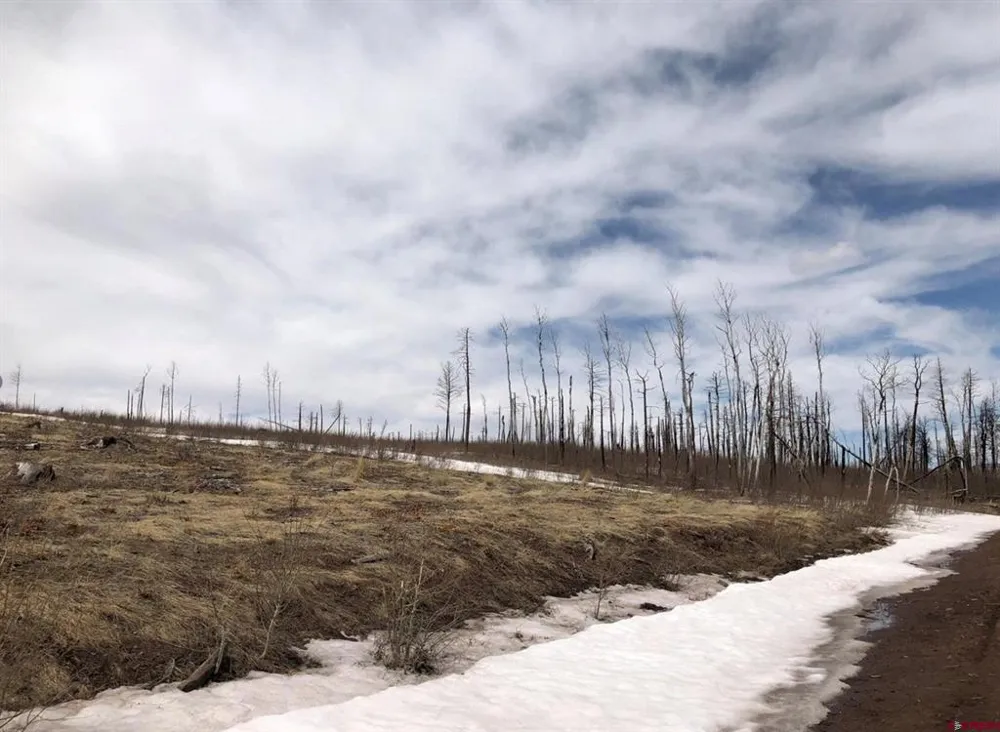 1915 Kiers Lane Fort  Garland, CO 81133