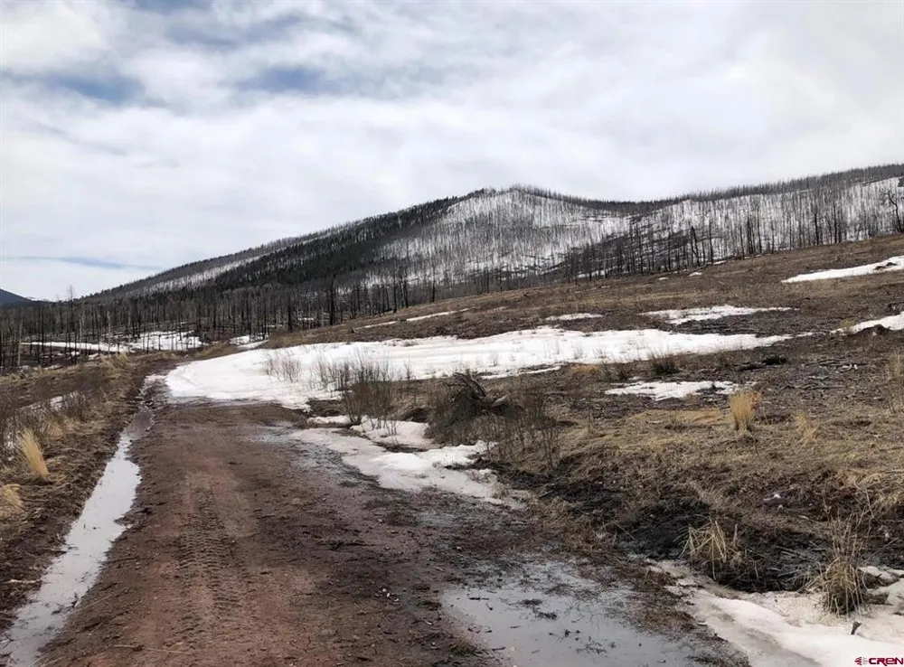 1915 Kiers Lane Fort  Garland, CO 81133
