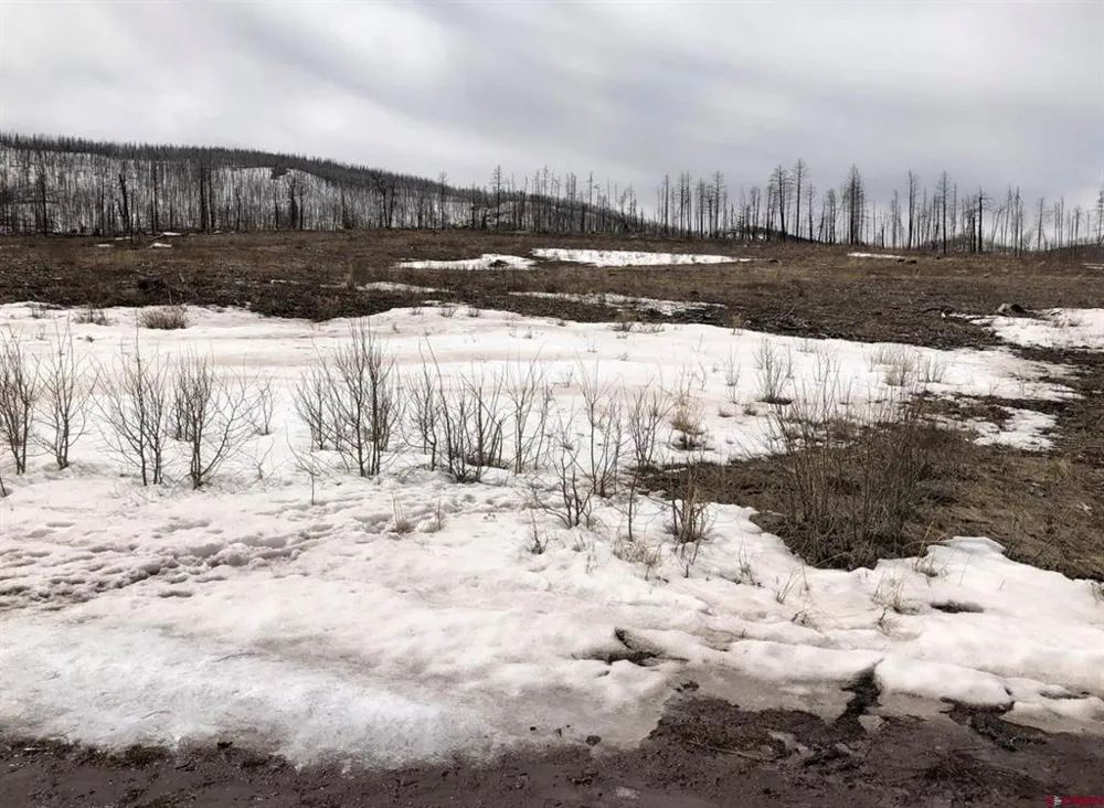 1915 Kiers Lane Fort  Garland, CO 81133