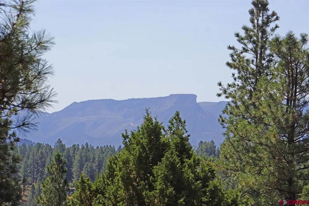 Road 36.5 Mancos, CO 81328