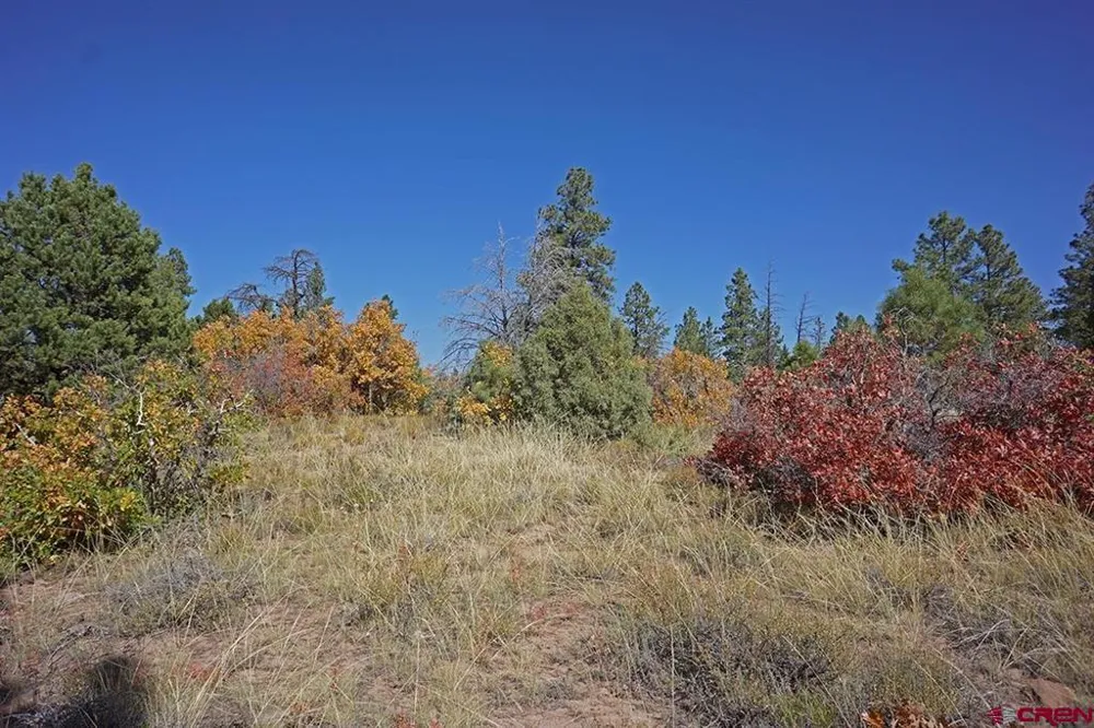 Road 36.5 Mancos, CO 81328