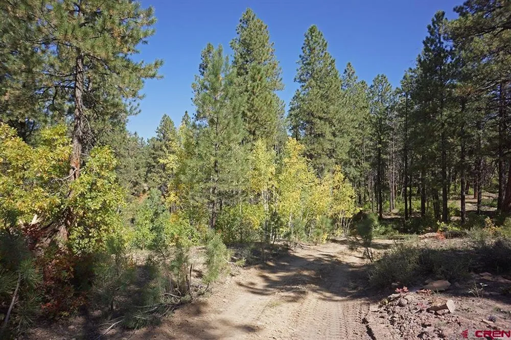 Road 36.5 Mancos, CO 81328