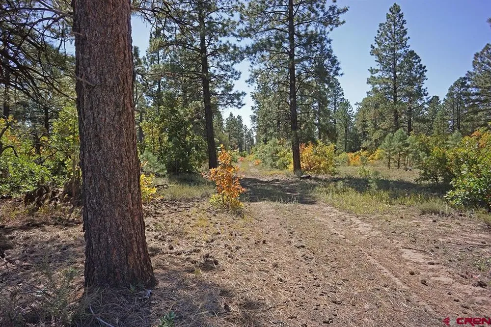 Road 36.5 Mancos, CO 81328