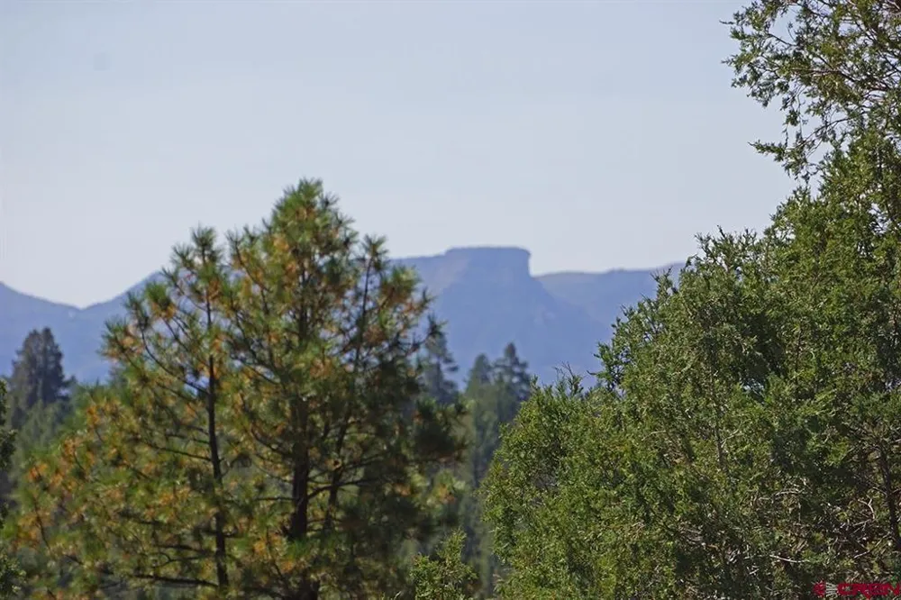 Road 36.5 Mancos, CO 81328