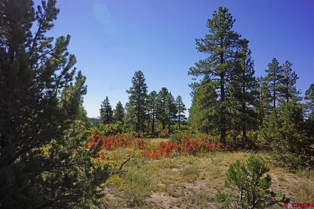 Road 36.5 Mancos, CO 81328