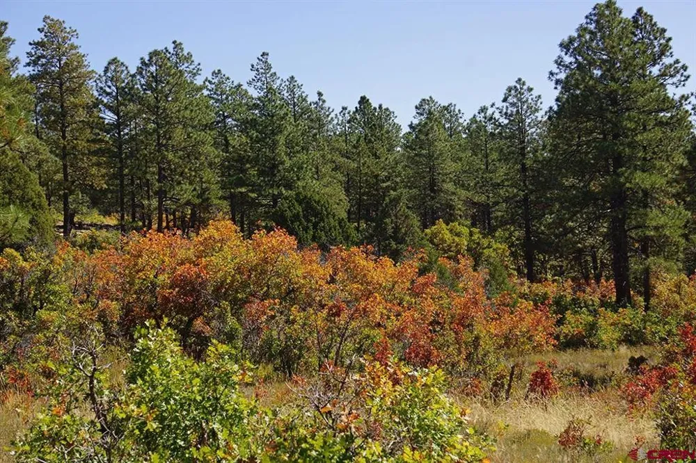 Road 36.5 Mancos, CO 81328