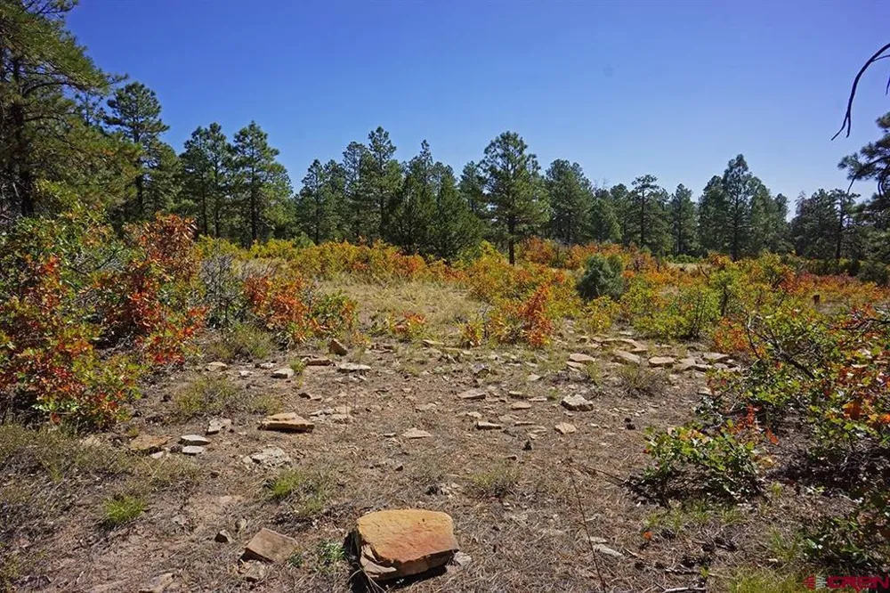 Road 36.5 Mancos, CO 81328