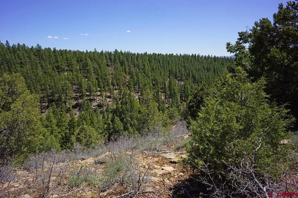 Road 36.5 Mancos, CO 81328