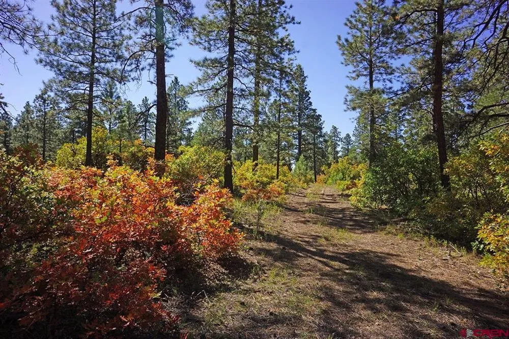 Road 36.5 Mancos, CO 81328