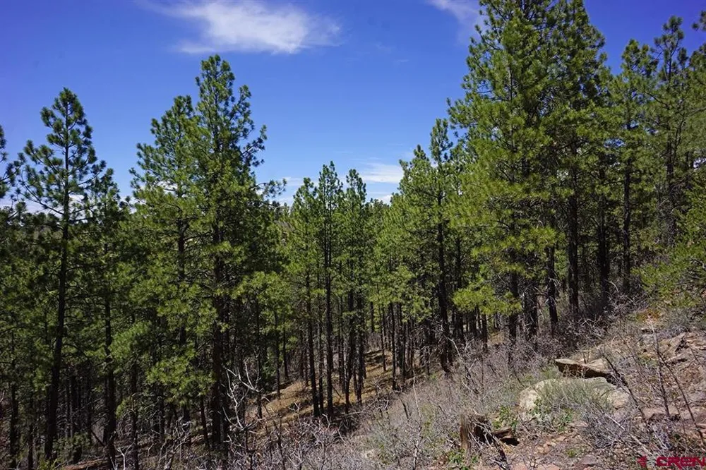 Road 36.5 Mancos, CO 81328