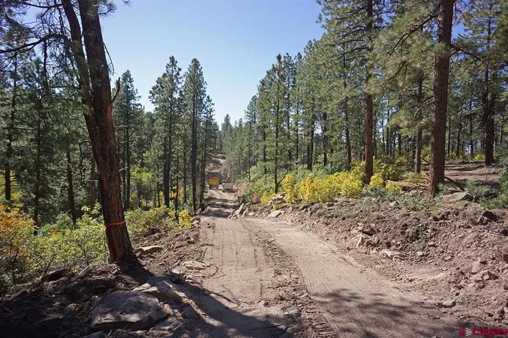 Road 36.5 Mancos, CO 81328